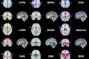 新海诚动画电影《你的名字。》上映17天票房突破63亿日元 后劲火爆‘米兰·(milan)中国官方网站’(图1)