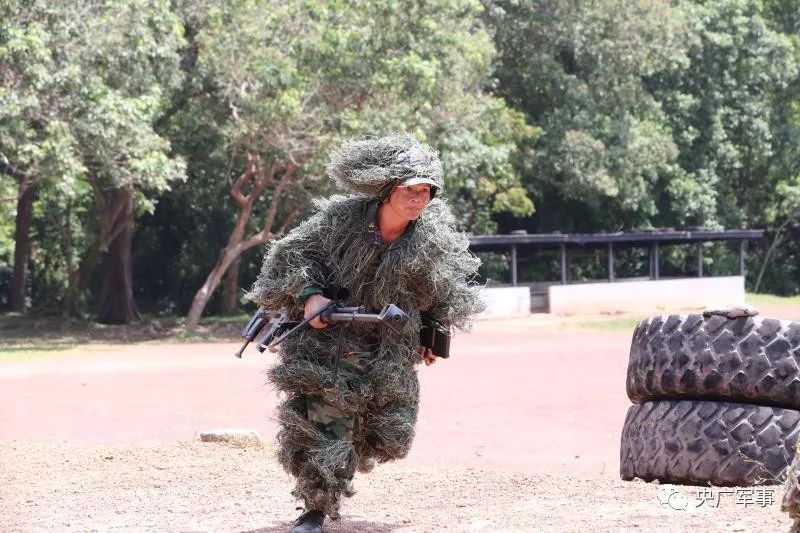 米兰·(milan)|海贼王漫画909话什么时候出更新 海贼王909话最新情报(图3)