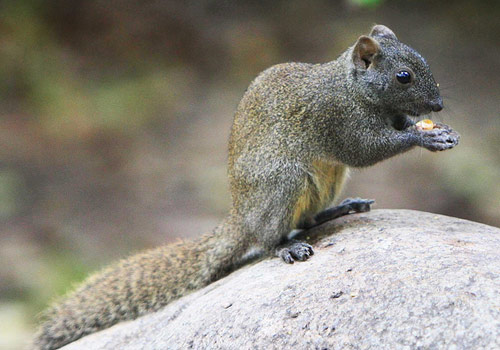 米兰·(milan)中国官方网站