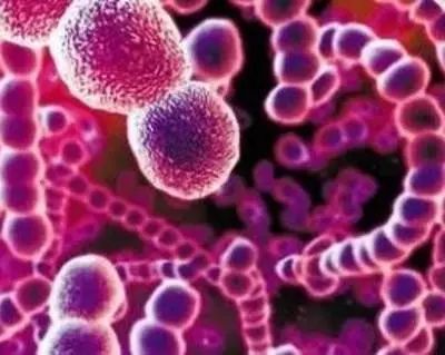 “米兰·(milan)中国官方网站”超偷懒！漫改电影《亚人》海报公开(图4)