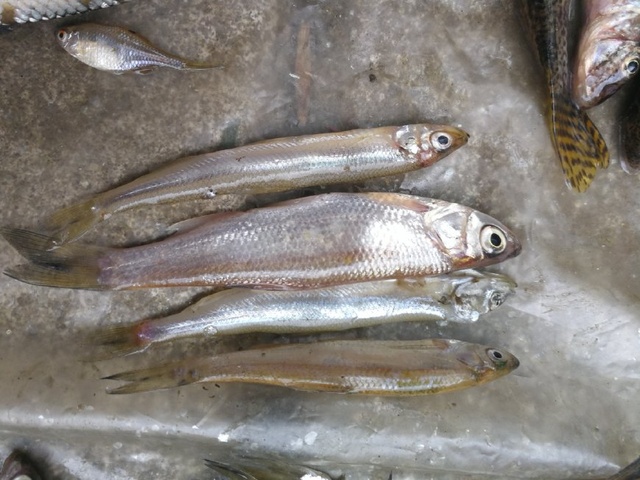 米兰·(milan)中国官方网站