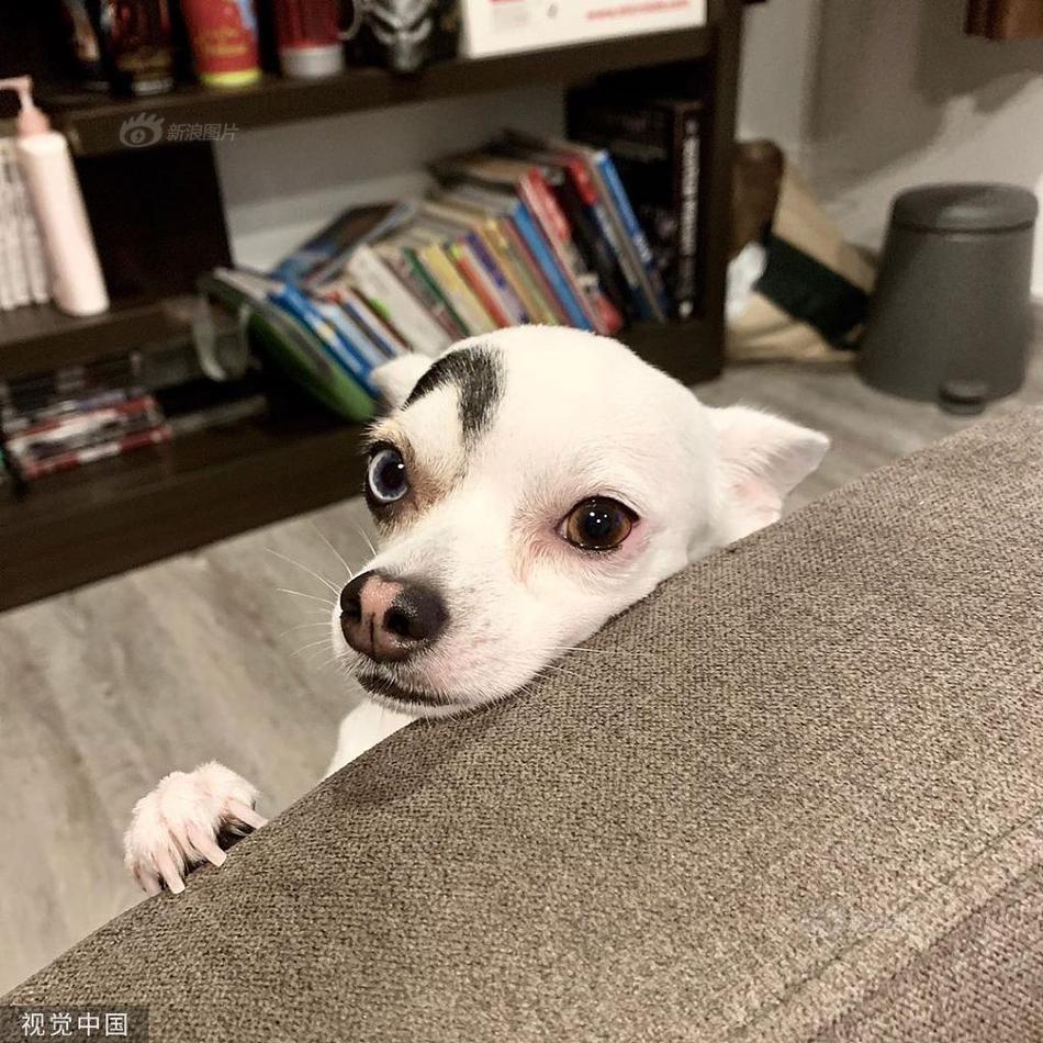 12日巴甲推荐:圣保罗VS维多利亚-milan(图3) 米兰·(milan)中国官方网站