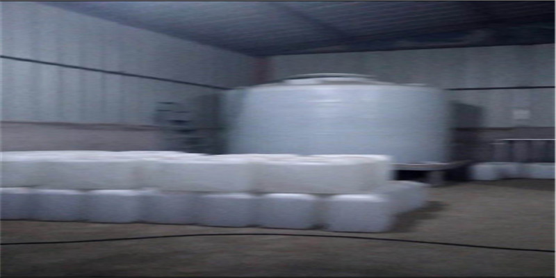 《凡尔赛玫瑰》作者出道50周年 妇女节举行纪念展：milan(图1)