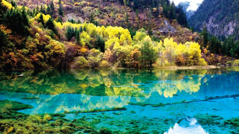 米兰·(milan)中国官方网站