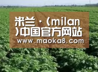 种植基地五