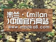 种植基地七