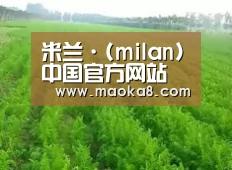 种植基地四