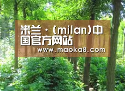 种植基地九