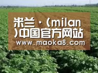 种植基地五(图1)