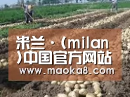 种植基地七(图1)