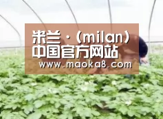 种植基地三