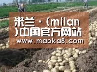 种植基地八