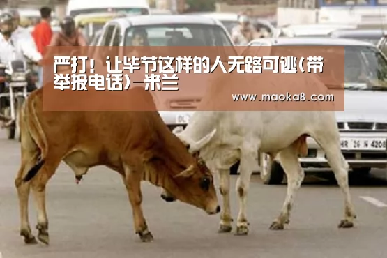 严打!让毕节这样的人无路可逃(带举报电话)-米兰(图4) 米兰·(milan)