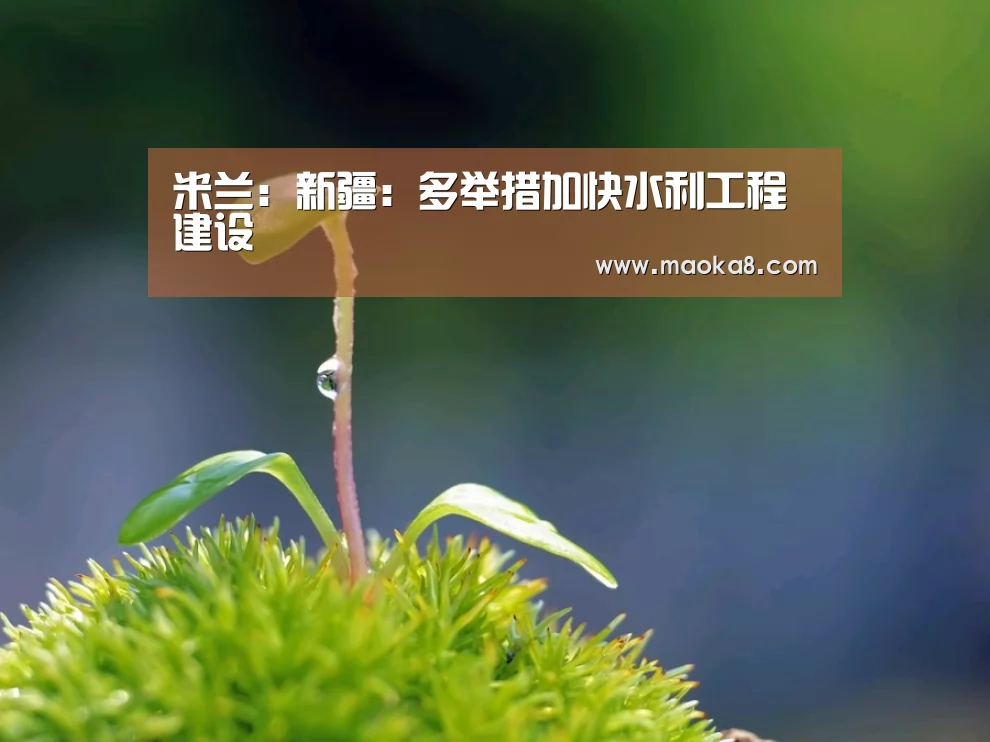 米兰:新疆:多举措加快水利工程建设