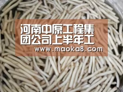 河南中原工程集团公司上半年工程承揽势头好亮点多-米兰(图1) 米兰
