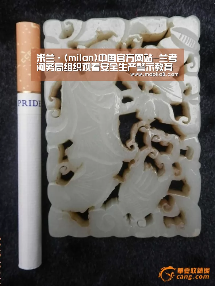 米兰·(milan)中国官方网站-兰考河务局组织观看安全生产警示教育片(图2) 米兰·(milan)