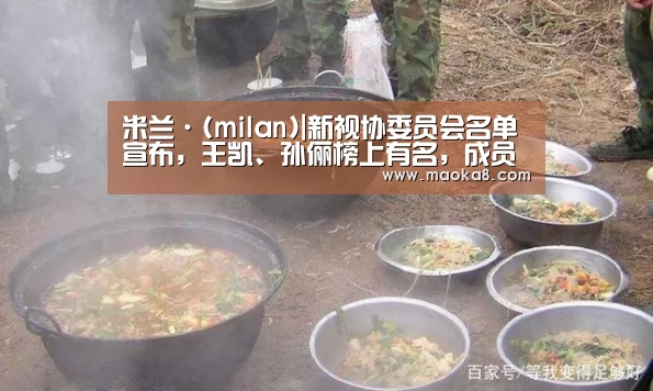 米兰·(milan)|新视协委员会名单宣布,王凯、孙俪榜上有名,成员藏龙卧虎(图3) 米兰·(milan)|新视协委员会名单宣布,王凯、孙俪榜上有名,成员藏龙卧虎(图3)