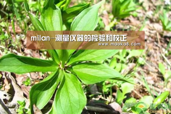 milan-测量仪器的检验和校正(图4) 米兰·(milan)中国官方网站